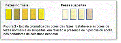 Icterícia e colestase neonatal