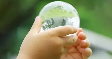sustainability-portal-thumbnail.png