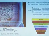 Formação da Microbiota Intestinal (videos)
