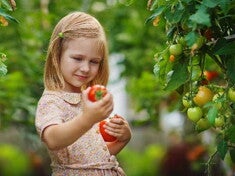 Highlight de Congressos