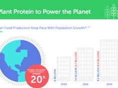 Proteína vegetal para alimentar o planeta