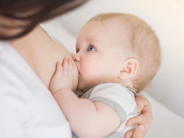 Módulo 2 - Parte 2: Modulação imunológica e outros efeitos sistêmicos dos oligossacarídeos do leite humano