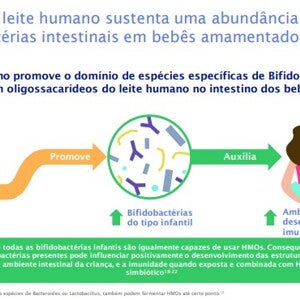 Nova pesquisa sobre HMOs: aprimorando seus benefícios