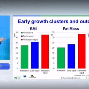 Mecanismos da programação nutricional