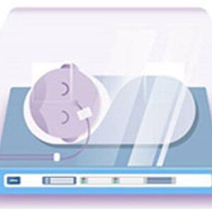 Atendendo as necessidades nutricionais do lactente pré-termo (infographics)