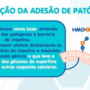 HMOs – o terceiro componente sólido mais abundante do leite humano (infographics)