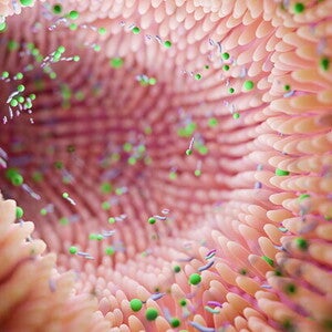 Microbioma intestinal materno