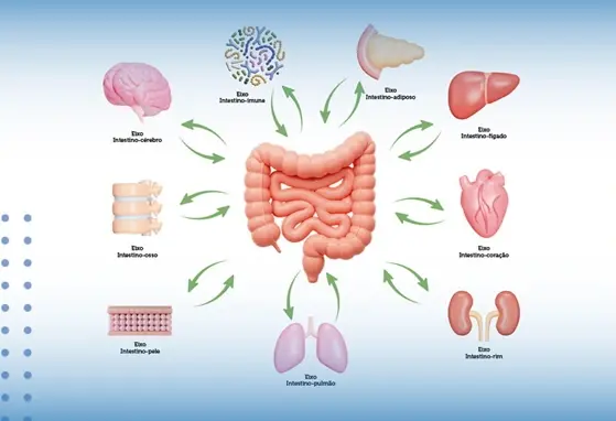 O papel do nutricionista no manejo das alergias múltiplas em pediatria O papel do nutricionista no manejo das alergias múltiplas em pediatria