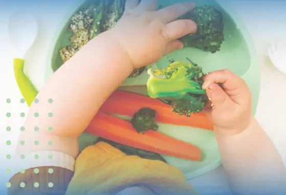 Risco de engasgo nas diferentes abordagens de introdução alimentar Risco de engasgo nas diferentes abordagens de introdução alimentar