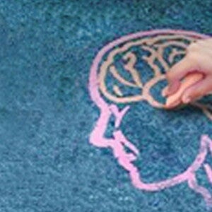 Colina: Um importante neuronutriente (publications)