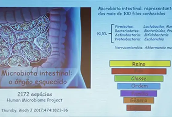 Formação da Microbiota Intestinal (videos)