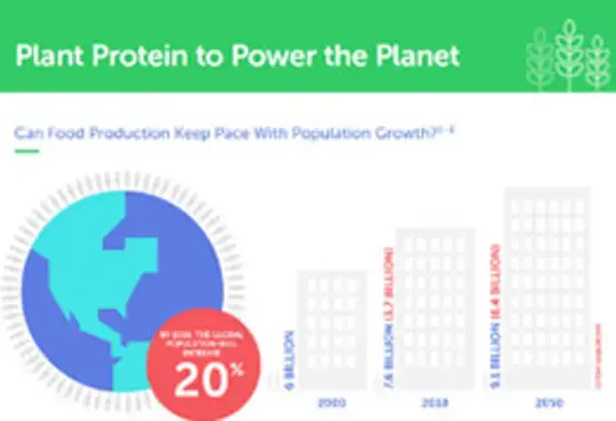 Proteína vegetal para alimentar o planeta