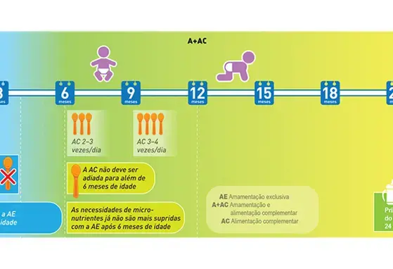 A introdução adequada da Alimentação Complementar (infographics)