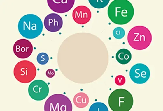 Panorama Global da deficiência de micronutrientes (publications)