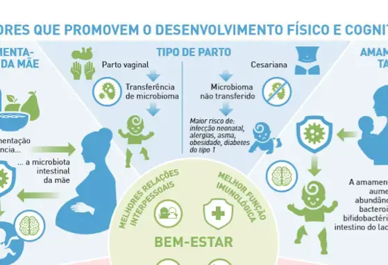 Promotores do bem-estar nos primeiros anos de vida (infographics)