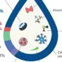 Do aleitamento materno à saúde: os benefícios dos bioativos do leite humano Do aleitamento materno à saúde: os benefícios dos bioativos do leite humano