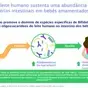 Nova pesquisa sobre HMOs: aprimorando seus benefícios