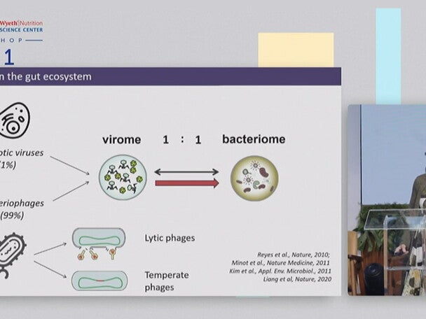 O viroma intestinal infantil: conhecimentos, incógnitas e caminhos para futuros estudos