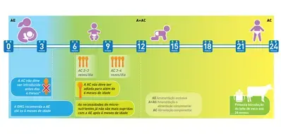 A introdução adequada da Alimentação Complementar (infographics)
