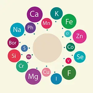 Panorama Global da deficiência de micronutrientes (publications)