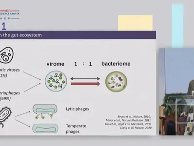 O viroma intestinal infantil: conhecimentos, incógnitas e caminhos para futuros estudos