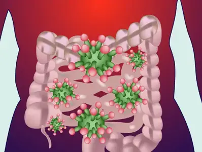 Manutenção de microbiomas: uma boa saúde intestinal pode combater o COVID-19Manutenção de microbiomas: uma boa saúde intestinal pode combater o COVID-19 (news)