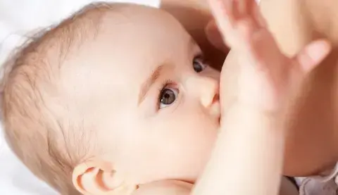 Módulo 2 – Efeito dos Oligossacarídeos do Leite Humano na microbiota e além. Módulo 2 – Efeito dos Oligossacarídeos do Leite Humano na microbiota e além.